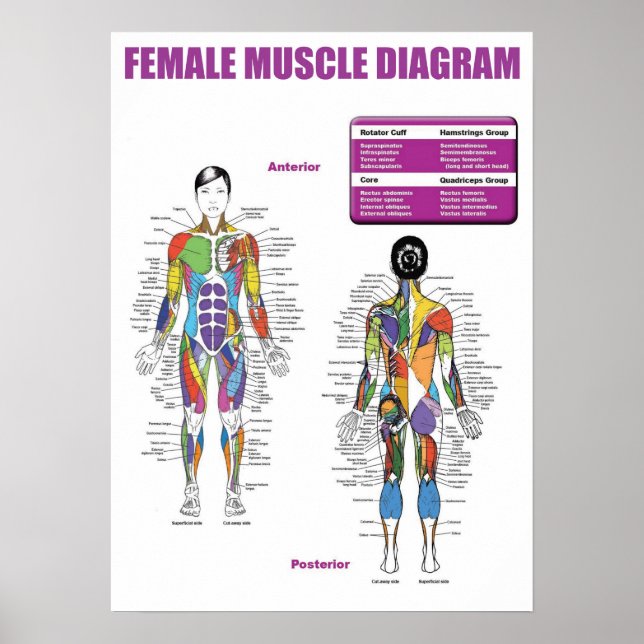 Poster Motivação de Workout (Frente)