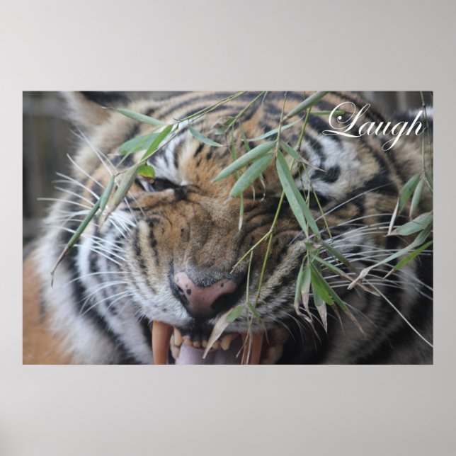 Pôster Motivação, Motivação, Ria (Frente)