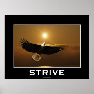 POSTER Motivacional de Águia Cálida Voadora