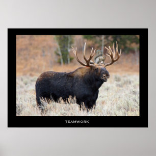 Poster Motivacional de "TRABALHO EM EQUIPE" de Moo