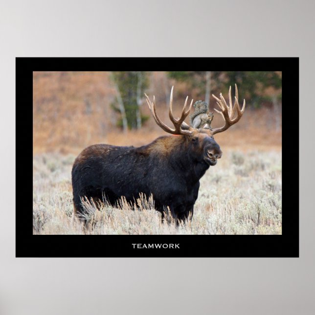 Poster Motivacional de "TRABALHO EM EQUIPE" de Moo (Frente)