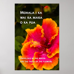 Poster Motivacional Hawaiian Fuchsia e Orange Hibiscus