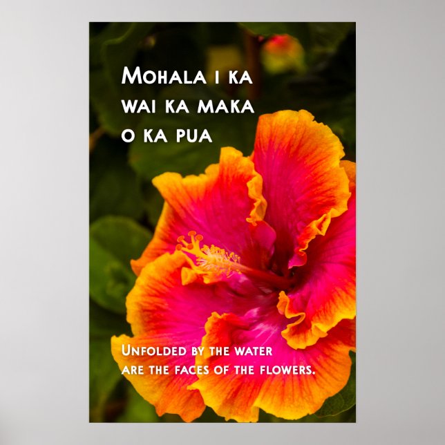 Poster Motivacional Hawaiian Fuchsia e Orange Hibiscus (Frente)