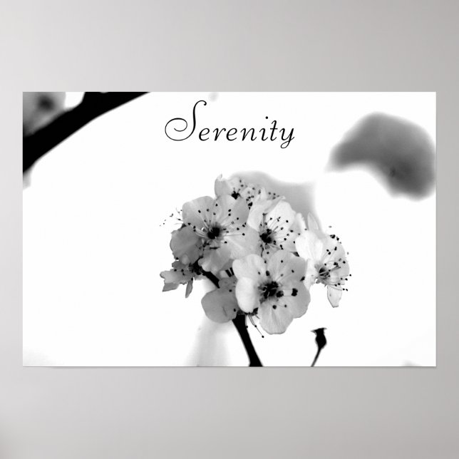 Poster Motivacional-Serenidade (Frente)