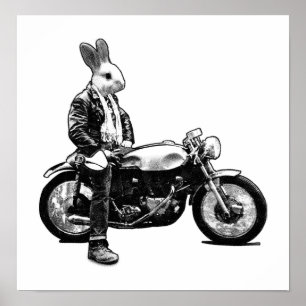 Pôster Motociclista do coelho