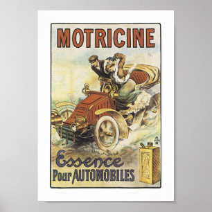 Poster Motricina