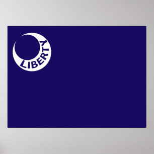 Poster Moultrie Flag (Liberdade) (História Americana)