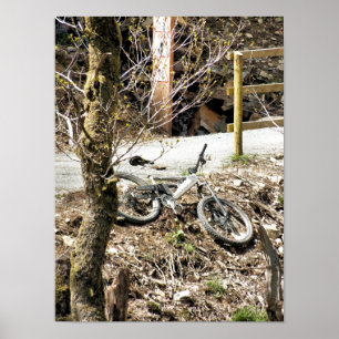 POSTER MOUNTAIN BIKES
