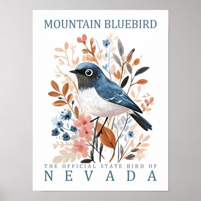 Poster Mountain Bluebird Bird (Frente)