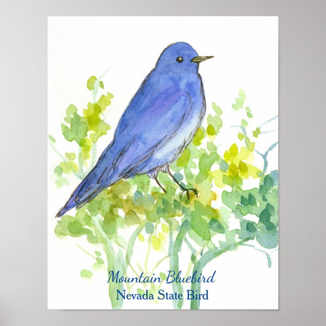 Poster Mountain Bluebird Nevada State Watercolor (Frente)