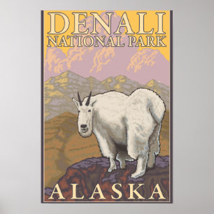 Pôster Mountain Goat - Parque Nacional Denali, Alasca