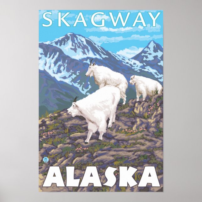 Pôster Mountain Goats Scene - Skagway, Alaska (Frente)