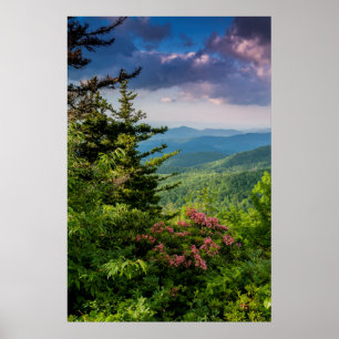 Poster Mountain Laurel ao Nascer do Sol