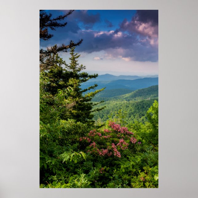 Poster Mountain Laurel ao Nascer do Sol (Frente)