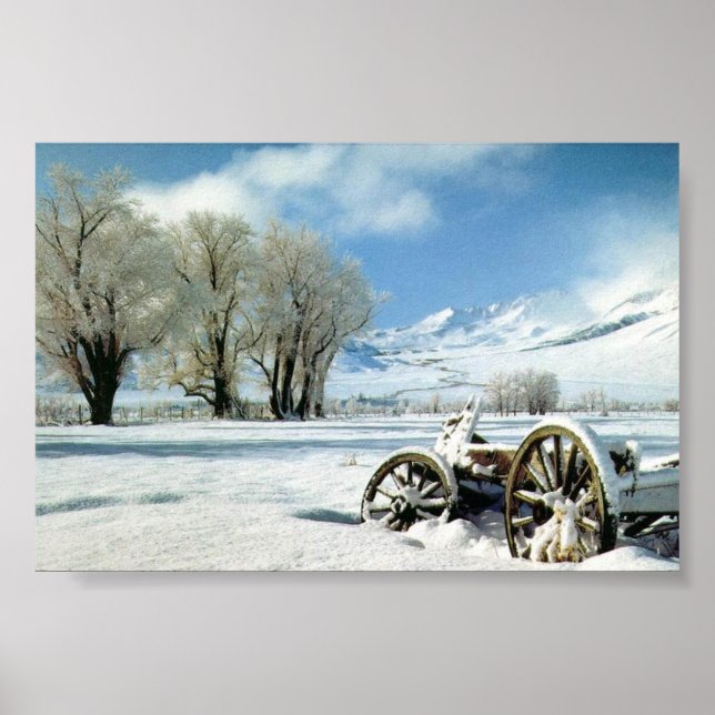 Pôster Mountain View (Frente)