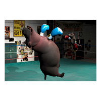 Mouse Beats Hippo KO