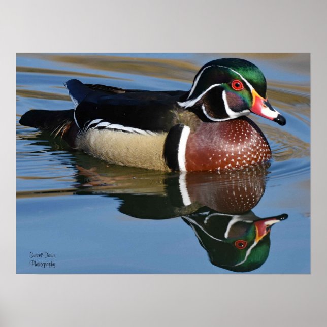 Poster Mouse de Reflexão do Pato de Madeira Masculina Pad (Frente)