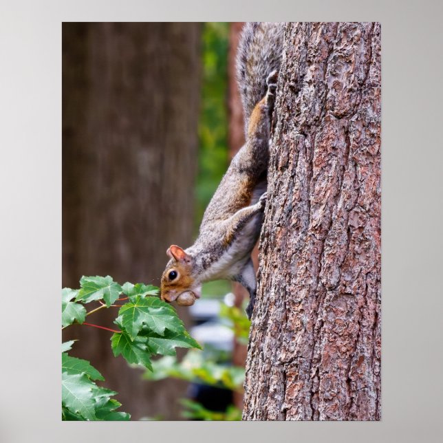 Poster Mouthful (Frente)