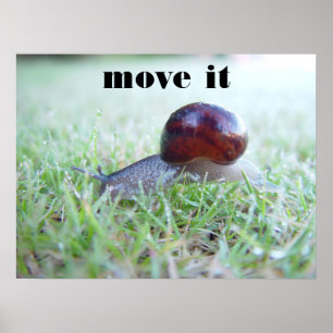 Poster mova-o