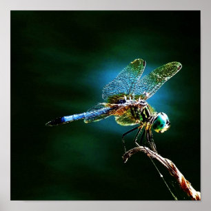 Pôster Movente rapidamente ao estar ainda