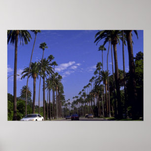 Poster Movimentação residencial do rodeio, Beverly Hill