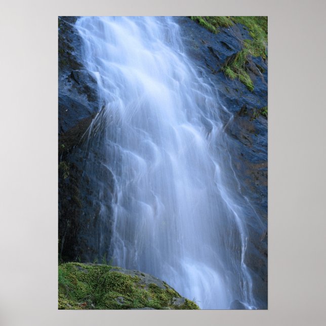 Poster Movimento Fluido (Frente)