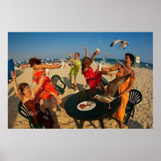 Poster Möwe am Strand - Strandräuber