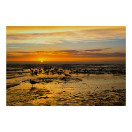 Pôster Möwen im Sonnenuntergang