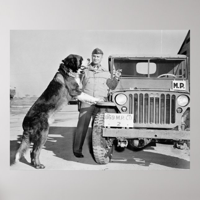 Pôster MP Mascot: 1942 (Frente)