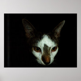 Poster Mr. Bud in Repose