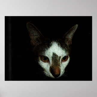 Poster Mr. Bud in Repose