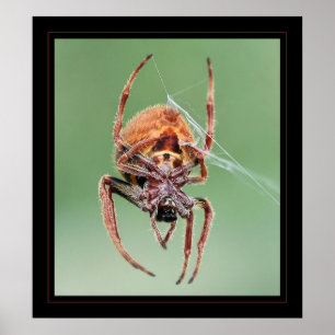 Poster Ms. Weaver