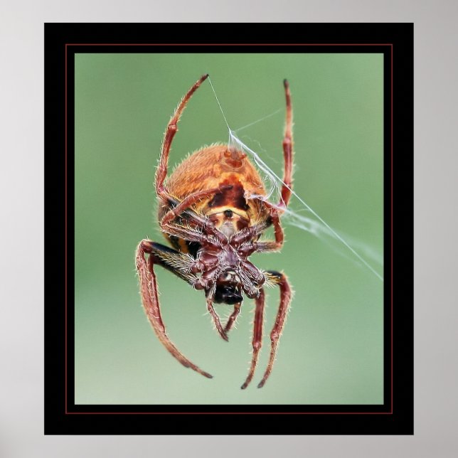 Poster Ms. Weaver (Frente)