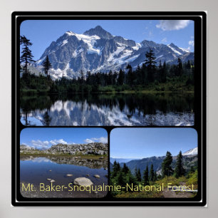 Poster Mt. Baker-Snoqualmie National Forest Collage Poste