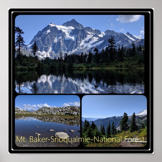 Poster Mt. Baker-Snoqualmie National Forest Collage Poste (Frente)