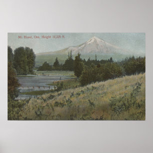 Pôster Mt. Hood, Oregon - View of Mountain from Hood 2