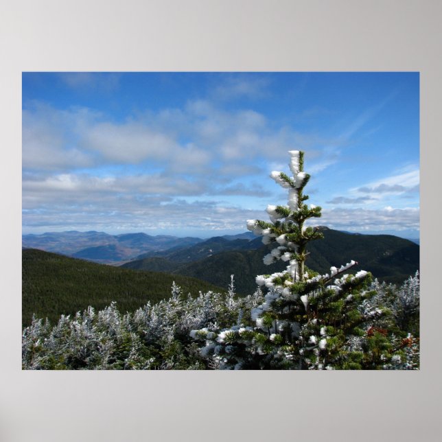 Pôster Mt. Marcy Trail (Frente)