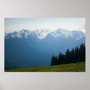 Poster Mt. Olympus Peaks at Hurricane Ridge Print