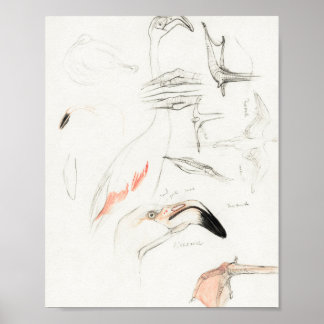 Poster Mtheo van hoytema - kalender - herons art - acorde