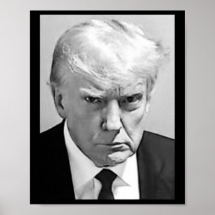Poster Mug Shot - Donald Trump Mug Shot
