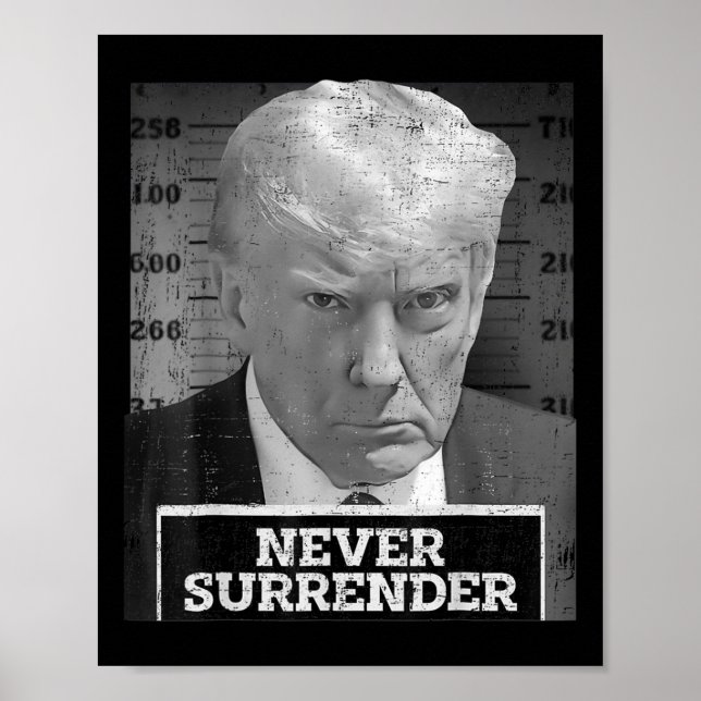 Poster Mug Shot - Donald Trump Mug Shot - Nunca renove (Frente)