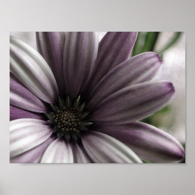 Pôster Muito (Frente)