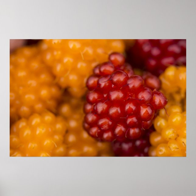 Poster Muito Berry (Frente)