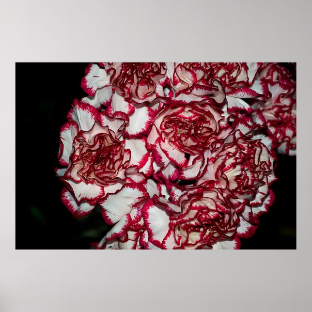 Poster Muito bom e colorido, feche (Frente)