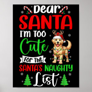 Poster Muito Bonito Para O Relatório De Ouros Xmas Da Lis