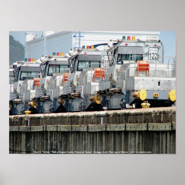 Poster "mulas" elétricas, Pedro Miguel Locks, Canal do Pa (Frente)