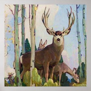 Poster “Mule Deer Buck e Doe” por W Herbert Dunton