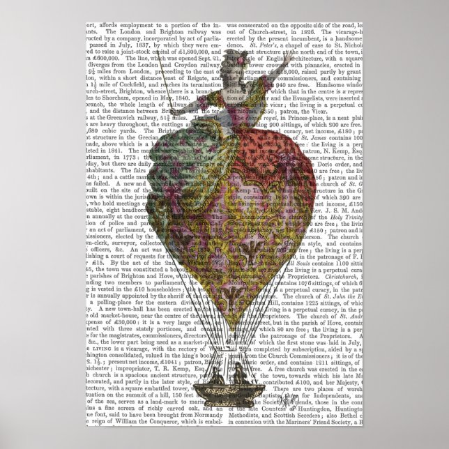 Poster Mulher do Balão de Ar Quente (Frente)