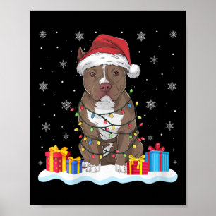 Poster Mulheres Cachorro Pitbull Cachorro Papai Noel Noel