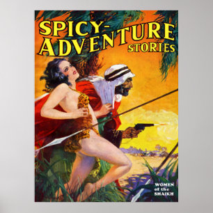 Pôster Mulheres de Shaikh